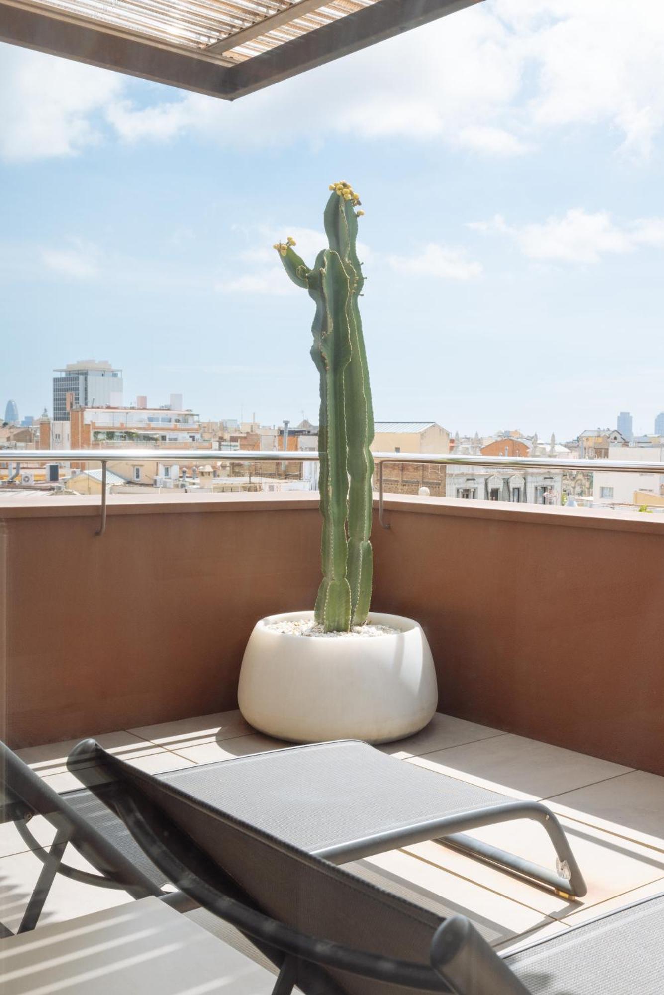 Chambre Double Privilège avec Terrasse
